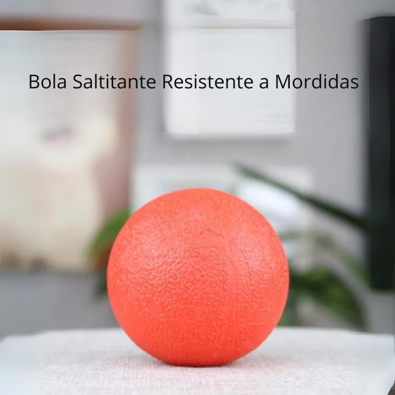 Bola com Corda para Pets