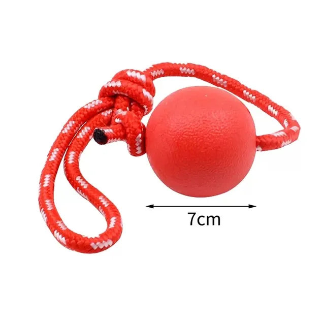Bola com Corda para Pets