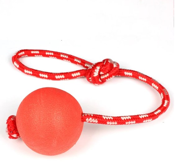 Bola com Corda para Pets