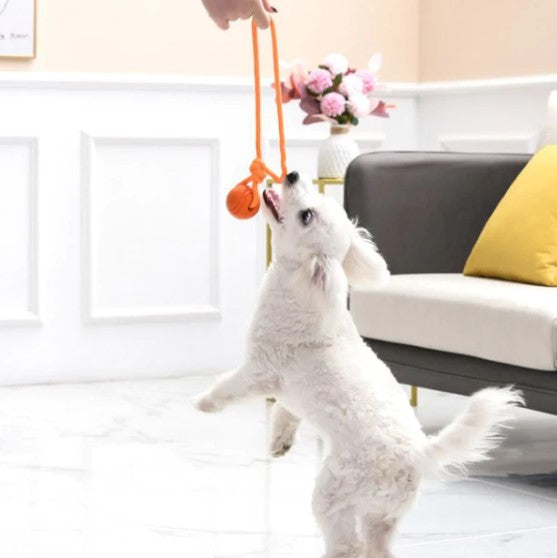 Bola com Corda para Pets