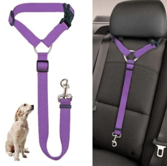 Corda Guia Veicular para Pets