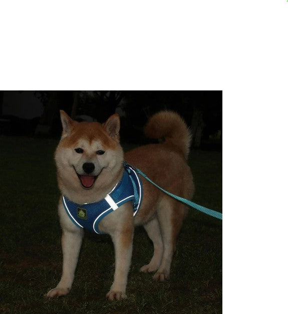 Corda Guia Peitoral Ajustável para Pets