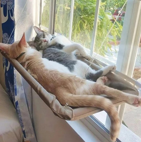 Cama para Pets Suspensa com ventosas Tipo Prateleira - CatRoom