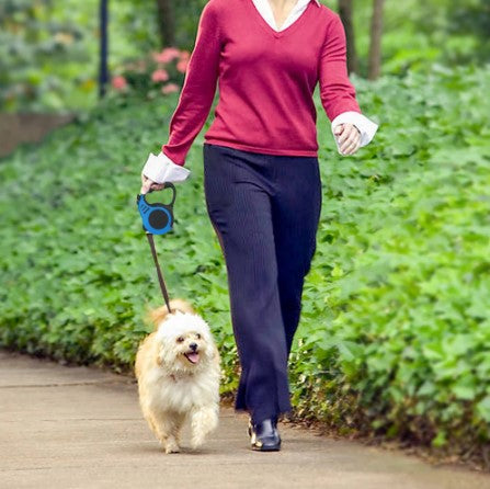 Corda Guia para Pets (Alto Alcance - Pequeno Porte)