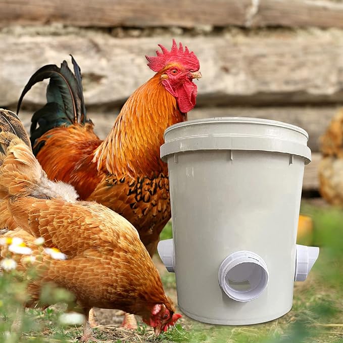 Alimentador de Galinhas