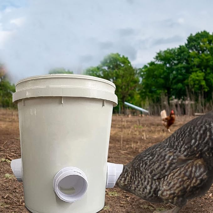 Alimentador de Galinhas