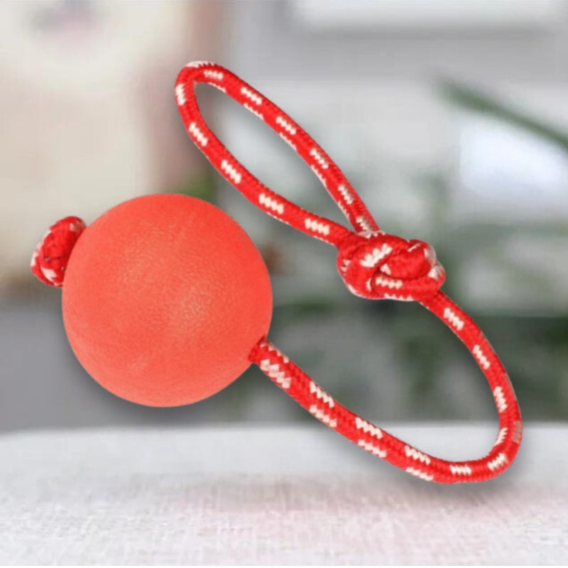 Bola com Corda para Pets