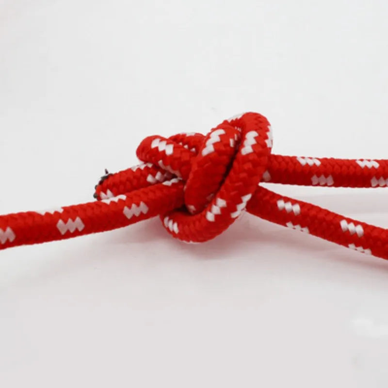 Bola com Corda para Pets