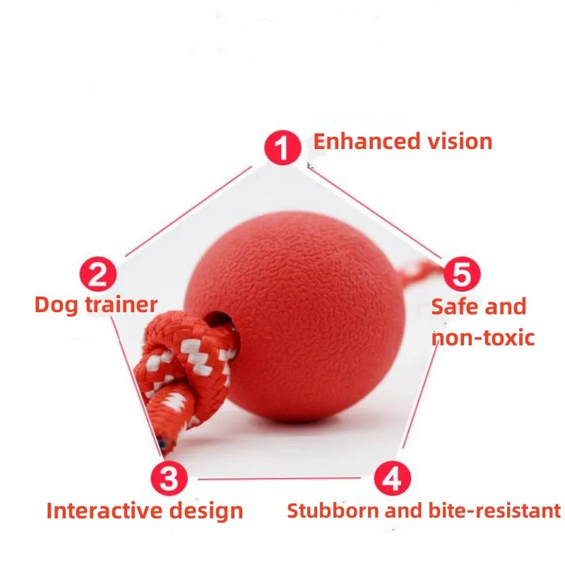 Bola com Corda para Pets