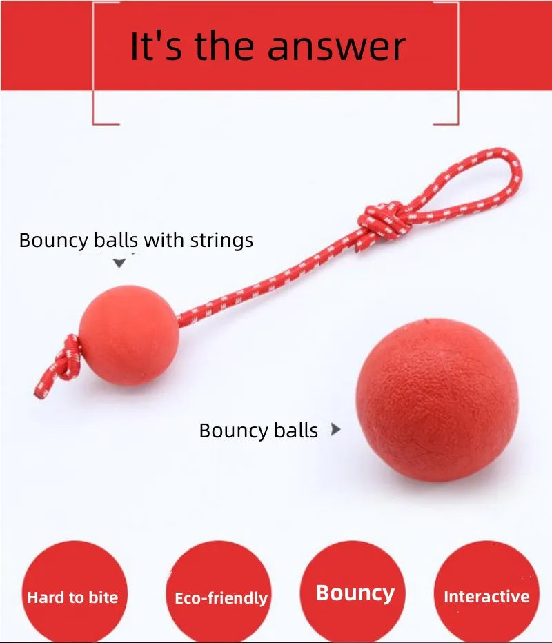 Bola com Corda para Pets