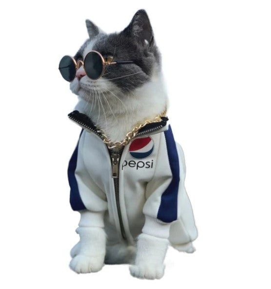 Óculos para Pets