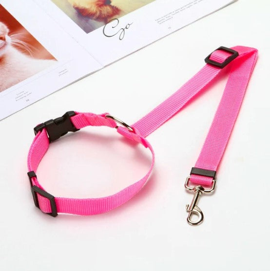 Corda Guia Veicular para Pets