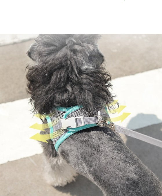 Coleira Guia Peitoral (Cães de Pequeno Porte) - PetFunny