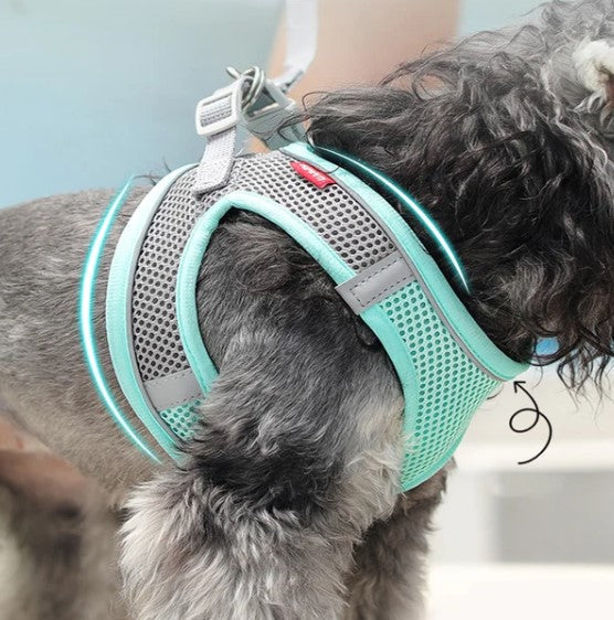 Coleira Guia Peitoral (Cães de Pequeno Porte) - PetFunny