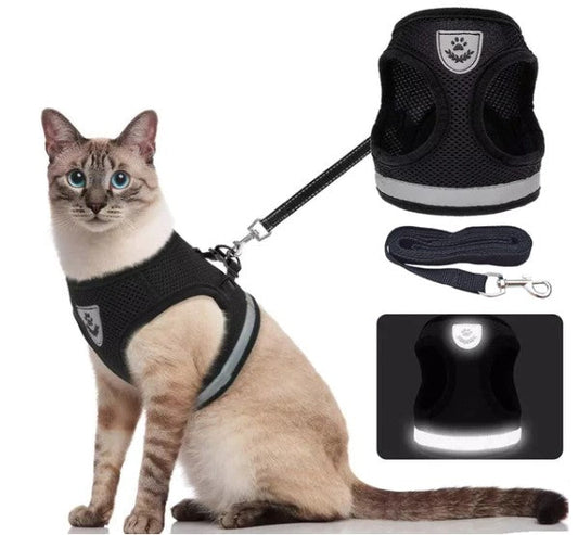 Corda Guia para Gatos (com Prendedor no Tórax) - KatConfort