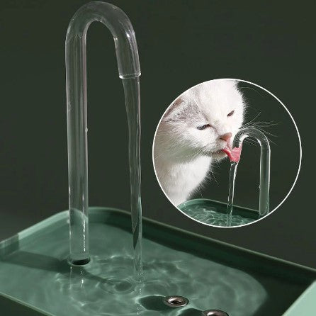 Bebedouro Fonte de Água para animais - FreshWater