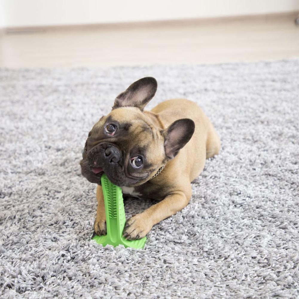 Escova para Mordição e Limpeza dos Dentes dos Cães - PetBrush